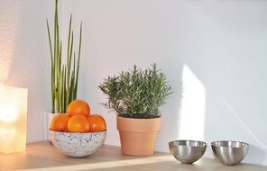 oranges in a plate near a flower pot