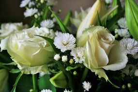 white roses, daisies and lilies in a bouquet