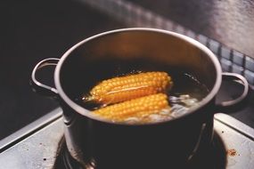 corn boiling in the water