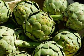 green artichokes in the market