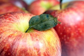 apple ,fruit, natura,l health ,food