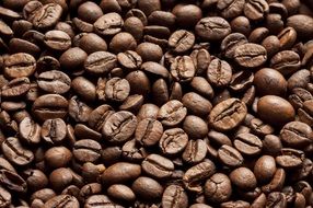coffee beans roasted brown caffeine
