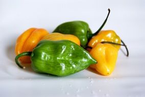 colorful chile habanero spicy peppers