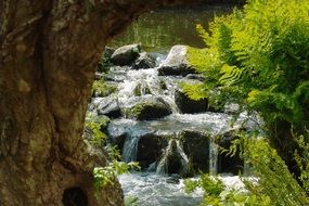 water cascade among beautiful nature