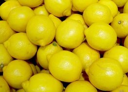 tasty lemon fruit