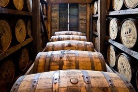 wooden barrels in the basement