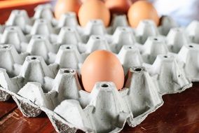 egg food