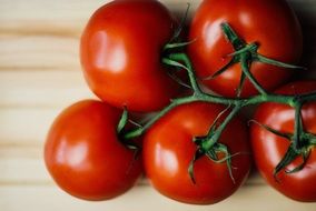 fresh healthy tomatoes