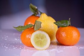 fruits clementines