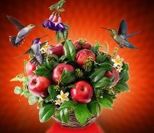 tropical birds with fruits buqet