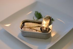 sardines in can