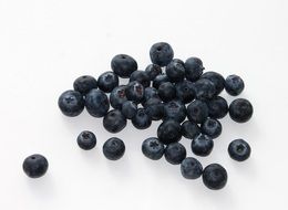 fresh blueberry fruit