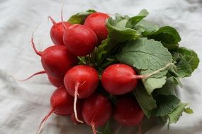 radishes red vegetables healthy food