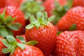 red strawberries with green leaves close-up