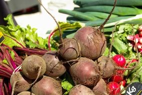 beets vegetables agriculture market