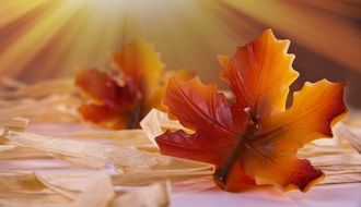 autumn maple leaf, decorative candle