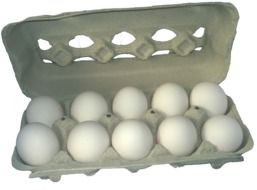 egg box with eggs on white