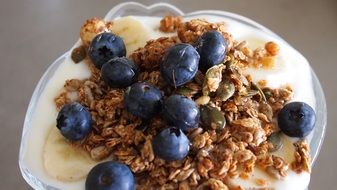 yogurt granola