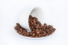 coffee beans in the cup