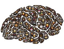 brain on a white background