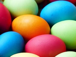 colorful chicken eggs