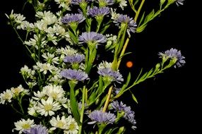 bouquet of wild flowers