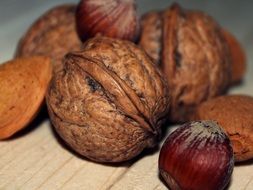 walnut hazelnut almonds