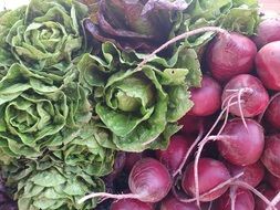 fresh healthy vegetables at market