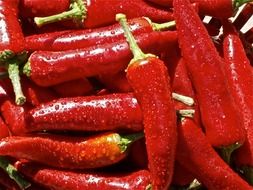 fresh red pepper with water drops on them