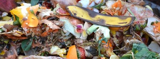 fruit and vegetable waste