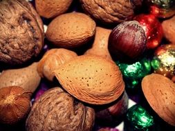Brown almonds and hazelnuts