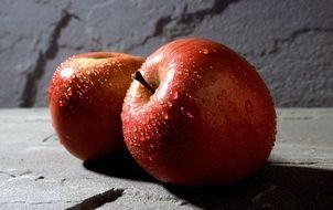 juicy and beautiful apple red fruits