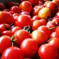piles of tomatoes