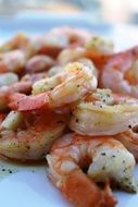 shrimp gourmet seafood