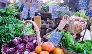 basket with vegetables at the market