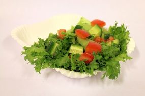 fresh salad in a plate