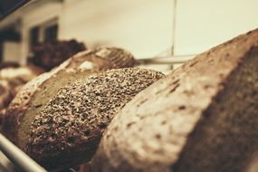 bread lies in the bakery