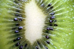 sliced kiwi in half