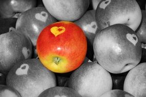 Black and white apples and one colorful apple