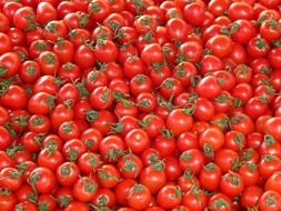 Lots of red tomatoes in a pile