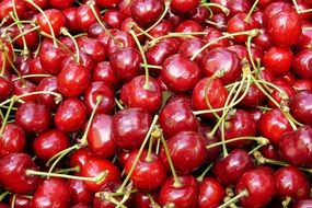 red sweet cherry