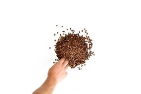 hand taking coffe beans on white surface