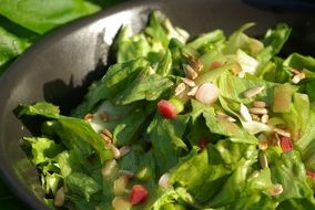 rhubarb salad