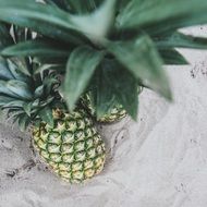 picturesque pineapple fruit