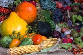 multicolored ripe vegetables in still life