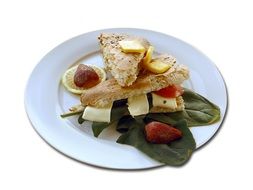 dish with Panini