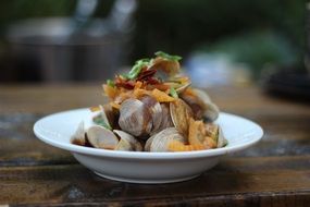 seafood on a white plate for gourmet