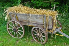 straw carts on a farm