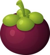 clipart,picture of sweet berry
