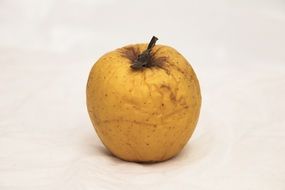 picture of the damaged apple